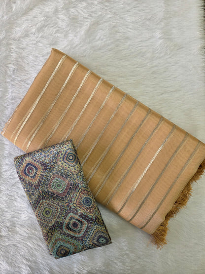Organza saree